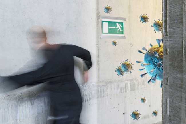 Artikel Pauling_Aufmacher_AK-Snapshot_AdobeStock.jpeg