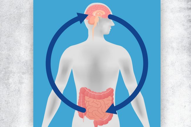 Artikel Krönung_Aufmacher_AdobeStock_116290968_metamorworks_Darm_Hirn_quer