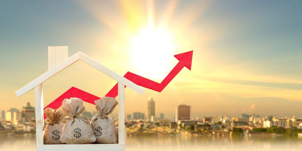 Artikel Weitl_Aufmacher_AdobeStock_300418113_Watchara_Investment_Growing value_Money_Business_Wachstumskurve.jpeg