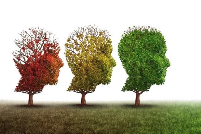 Artikel Emberger_AdobeStock_137813782_freshidea_Mental Health_Revovery_Mentaltraining.jpeg (2)