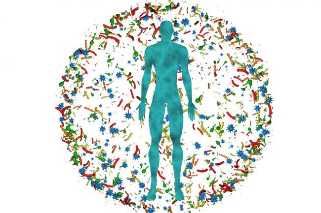 Artikel Freese_AdobeStock_169640048_vrx123.jpeg