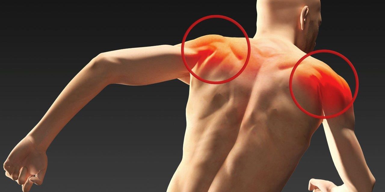 Artikel Jebrini_Aufmacher_AdobeStock_62634398_The Creative Box.jpeg