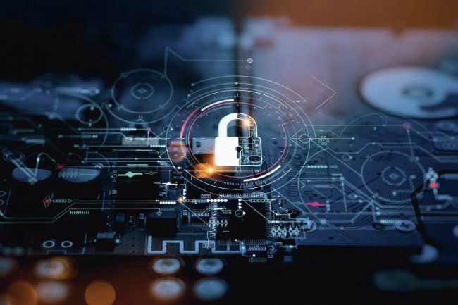 AdobeStock_greenbutterfly_457718844 3-2