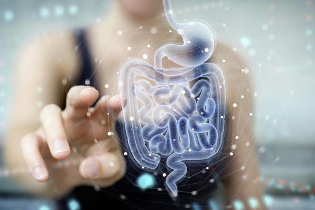 AdobeStock_ sdecoret_323618743.jpeg